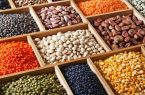 مواد غذایی گیاهی سرشار از پروتئین را به رژیم غذایی خودتان اضافه کنید مواد غذایی گیاهی سرشار از پروتئین را به رژیم غذایی خودتان اضافه کنید