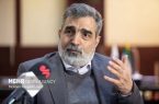 کمالوندی: ایران گزینههای زیادی برای دفاع از خود دارد کمالوندی: ایران گزینههای زیادی برای دفاع از خود دارد